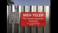 Tahitótfalu méhtelep